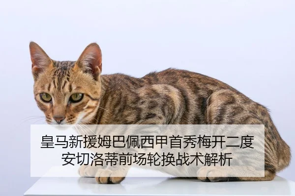 皇马新援姆巴佩西甲首秀梅开二度 安切洛蒂前场轮换战术解析